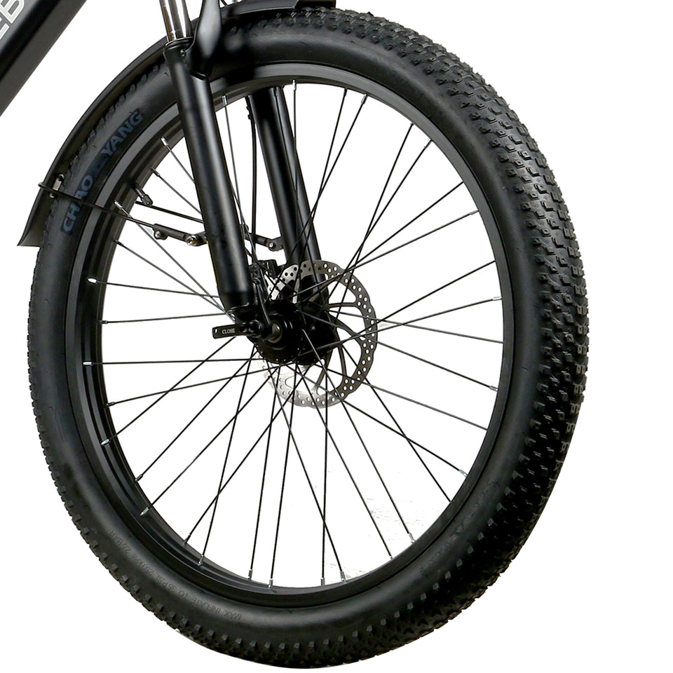 Samebike RS-A01 Cruiser Electric Bike