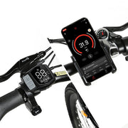 LCD display with Bluetooth module for APP connection. 5 Levels motor assist mode, thumb throttle.